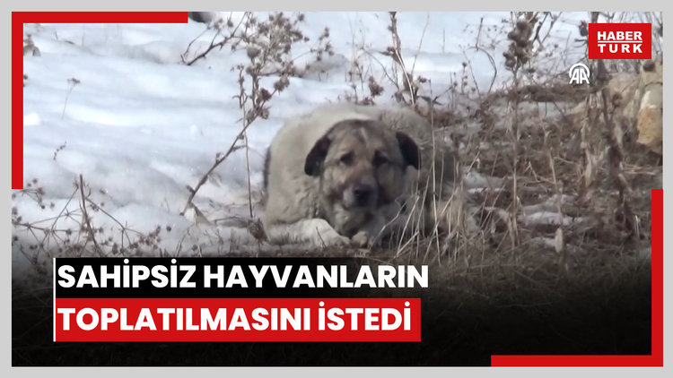 Köpeklerin saldırısında kızını kaybeden baba, sahipsiz hayvanların toplatılmasını istedi