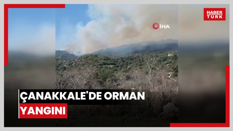 Çanakkale'de orman yangını