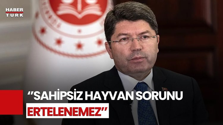 Bakan Tunç Duyurdu: Sahipsiz Hayvan Saldırılarına Soruşturma Başlatıldı