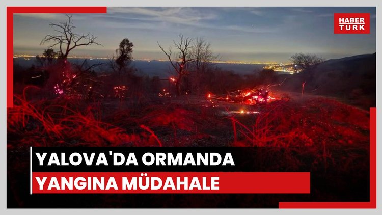 Yalova'da ormanda yangın