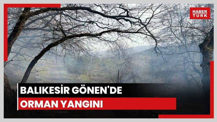 Balıkesir'de orman yangını