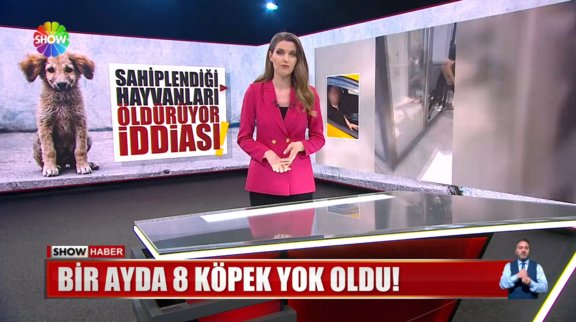 Sahiplendiği hayvanları öldürüyor iddiası! 