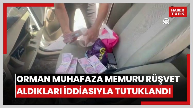 Antalyada 2 orman muhafaza memuru rüşvet aldıkları iddiasıyla tutuklandı