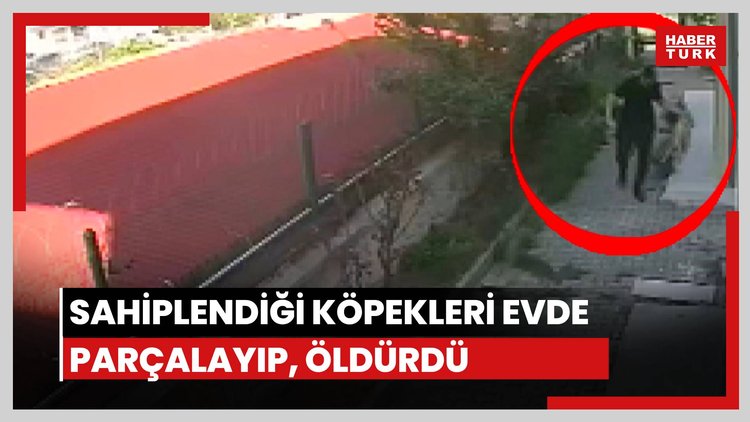 Köpekleri evde parçalayarak öldüren doktor tutuklandı