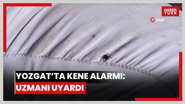 Yozgat'ta kene alarmı: Uzmanı uyardı