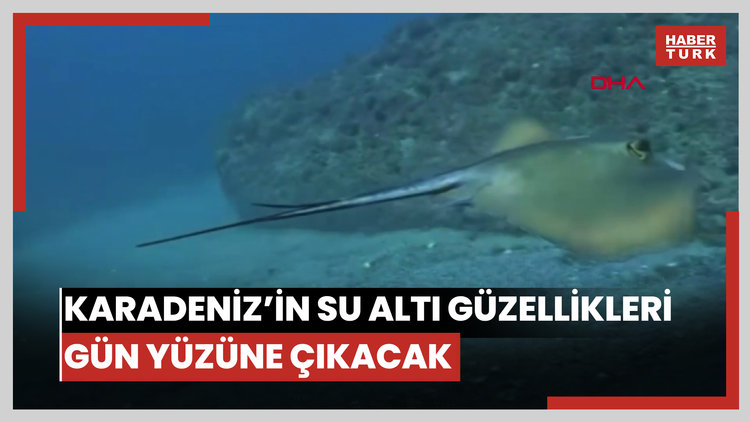 Karadeniz'in su altı güzellikleri gün yüzüne çıkacak