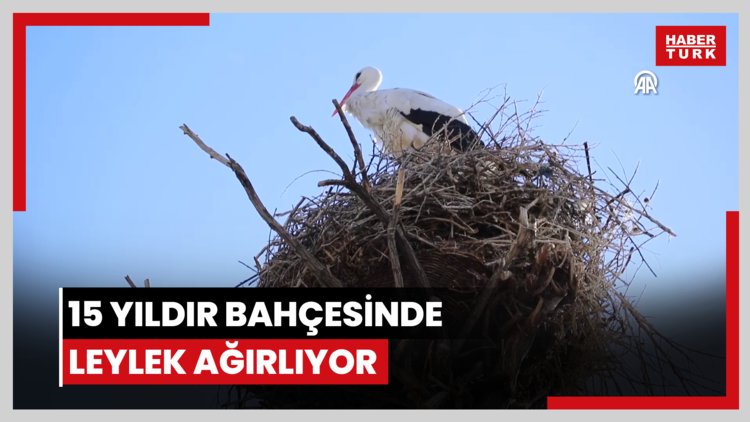 "Emrah" ve "Selvihan" adını verdiği leylekleri 15 yıldır bahçesinde ağırlıyor