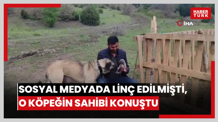 Sosyal medyada linç edilmişti, o köpeğin sahibi konuştu