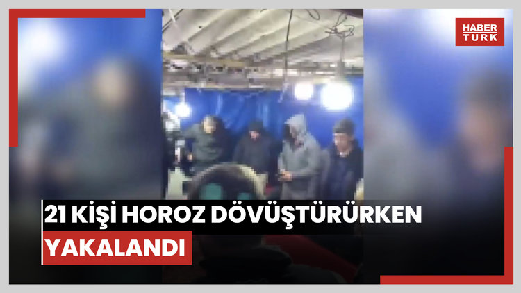 21 kişi horoz dövüştürürken yakalandı