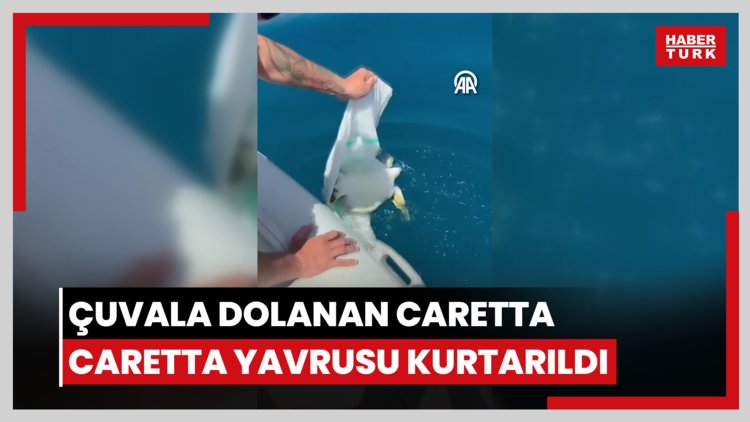 Alanya'da çuvala dolanan caretta caretta yavrusu kurtarıldı