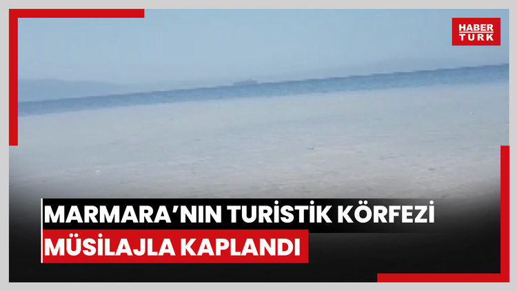 Marmara'nın turistik körfezi müsilajla kaplandı