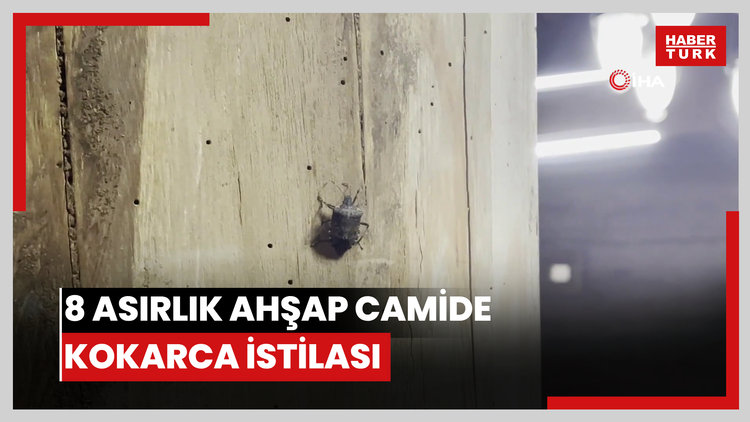 8 asırlık ahşap camide kokarca istilası