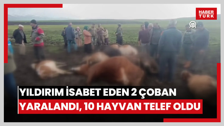 Yıldırım isabet eden 2 çoban yaralandı, 10 büyükbaş hayvan telef oldu