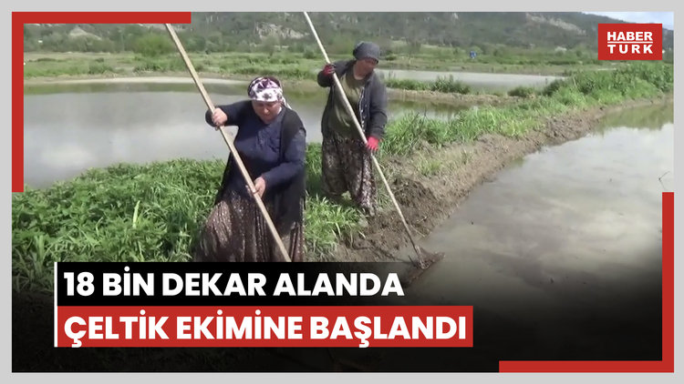 18 bin dekar alanda çeltik ekimine başlandı