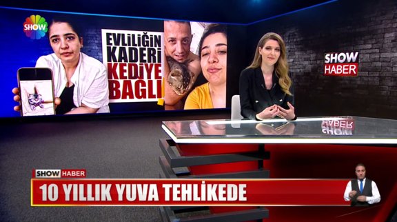 Evliliğin kaderi kediye bağlı!