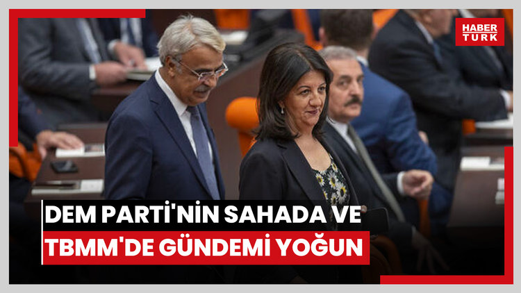 DEM Parti sahaya iniyor