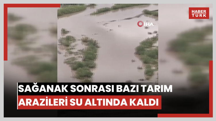 Erzincan'da sağanak sonrası bazı tarım arazileri su altında kaldı
