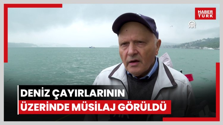 İstanbul Boğazı'ndaki deniz çayırlarının üzerinde müsilaj görüldü