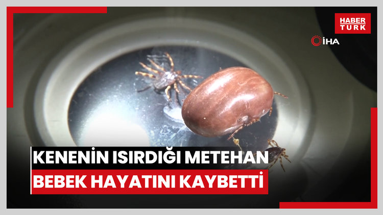 Kenenin ısırdığı Metehan bebek hayatını kaybetti