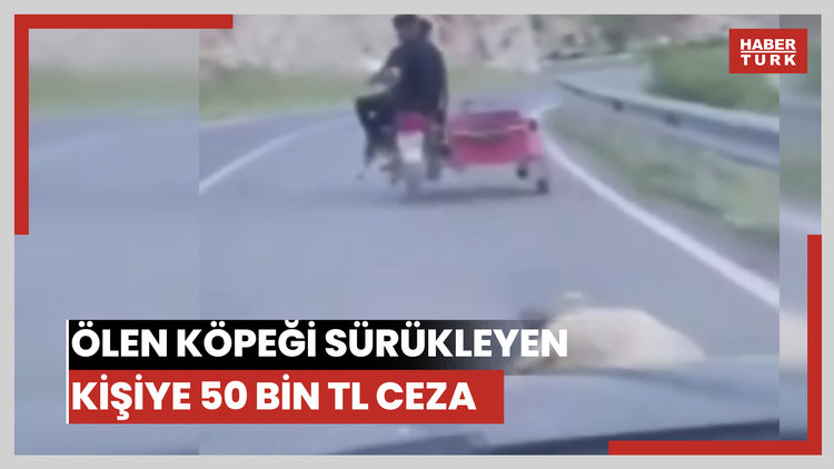 Ölen köpeği sürükleyen kişiye 50 bin TL ceza