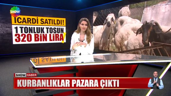 Kurbanlıklar pazara çıktı!