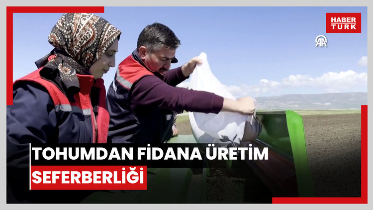 Ağrının verimli ovalarında tohumdan fidana üretim seferberliği