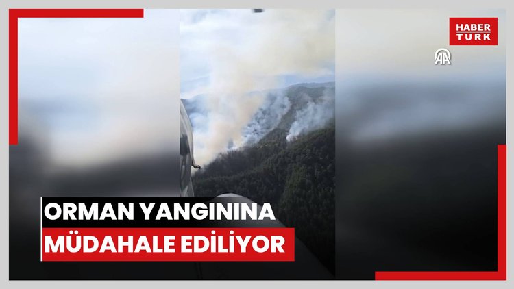 Orman yangınına müdahale ediliyor