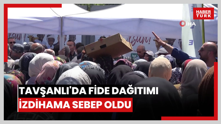Tavşanlı'da fide dağıtımı izdihama sebep oldu