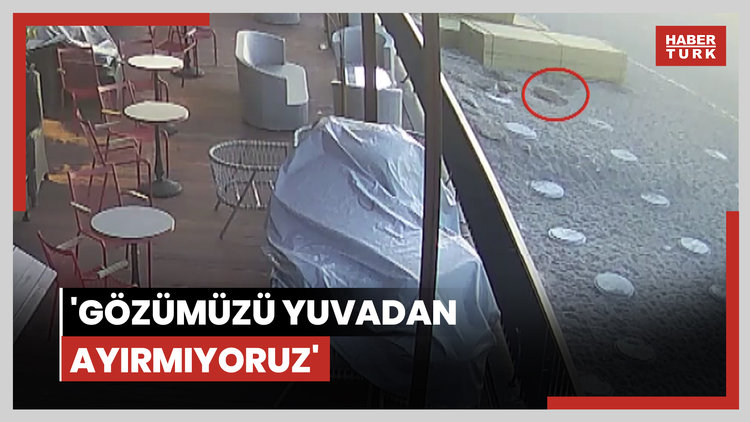 Konyaaltı Sahili'nde caretta yuvası sürprizi