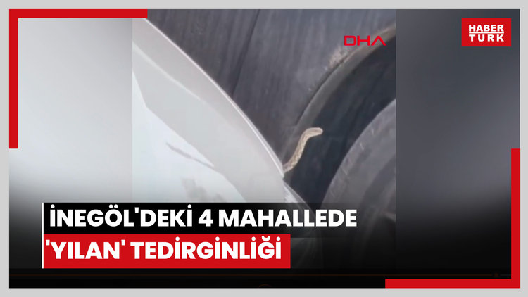 İnegöl'deki 4 mahallede 'yılan' tedirginliği
