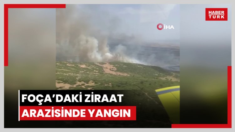 Foça'daki ziraat arazisinde yangın