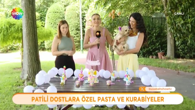 Patili dostlara özel pasta ve kurabiyeler...