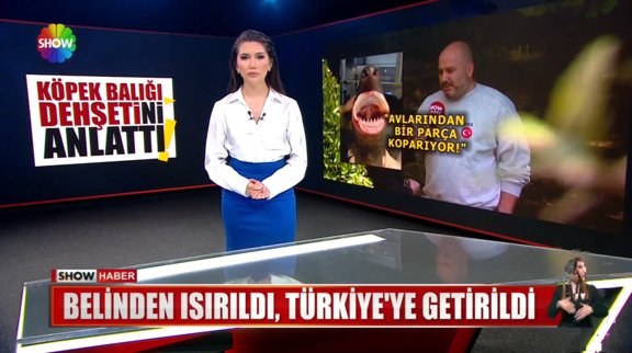 Belinden ısırıldı, Türkiye'ye getirildi! 