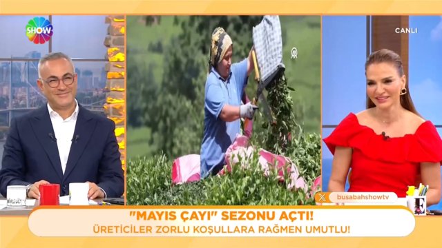 Trabzon'da yeşil altın sezonu açıldı!