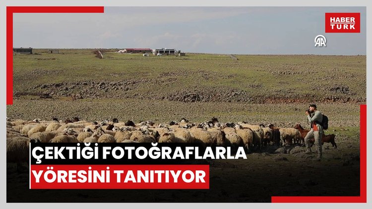 Diyarbakırlı çoban hayvan otlatırken çektiği fotoğraflarla yöresini tanıtıyor