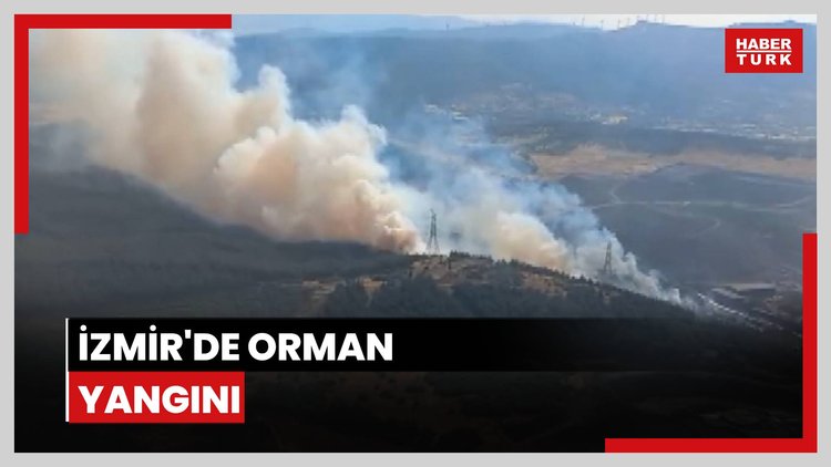 İzmir'in Aliağa ilçesinde ormanlık alanda çıkan yangına ekipler müdahale ediyor