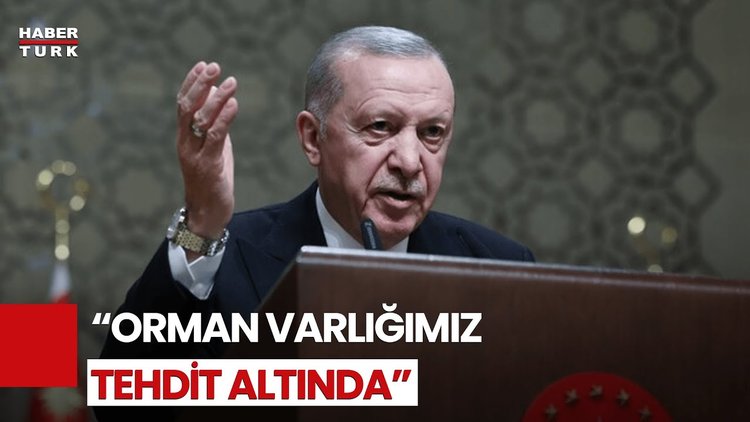 Cumhurbaşkanı Erdoğan&#039;dan Orman Yangınları Mesajı