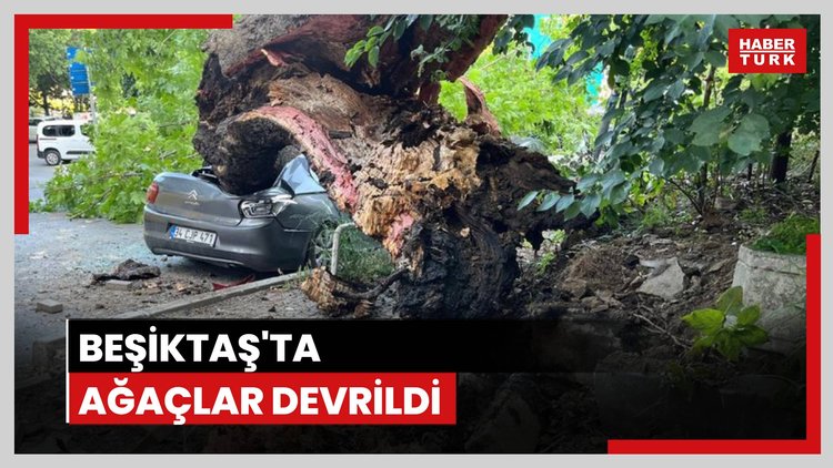 Beşiktaş'ta devrilen ağaç 3 araca hasar verdi
