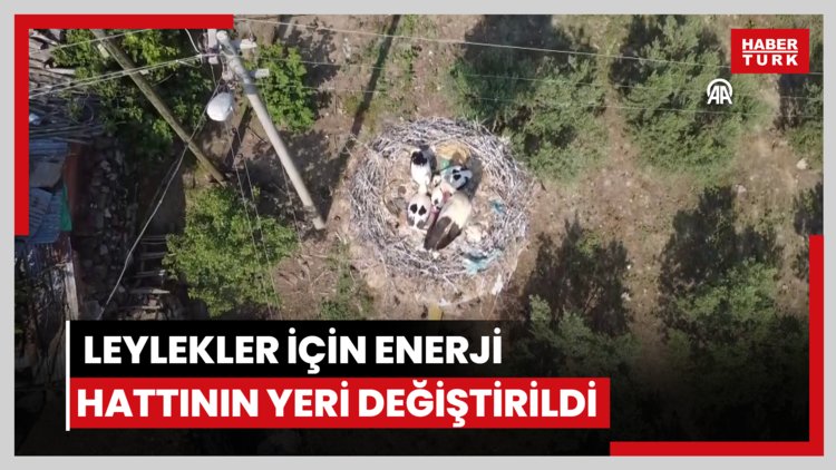 Yıllardır aynı direğe yuva yapan leylekler için enerji hattının yeri değiştirildi