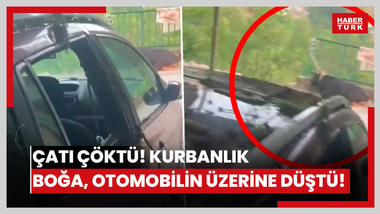 Kurbanlık boğa çıktığı garaj çatısı çökünce otomobilin üzerine düştü