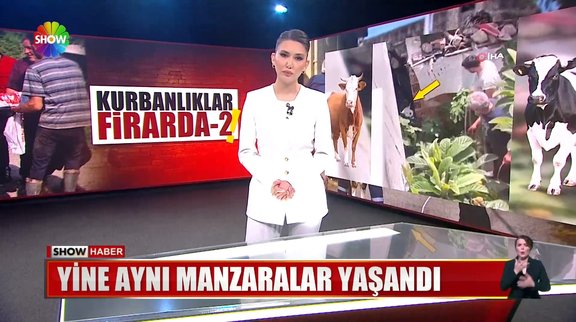 Firar kısa sürdü...