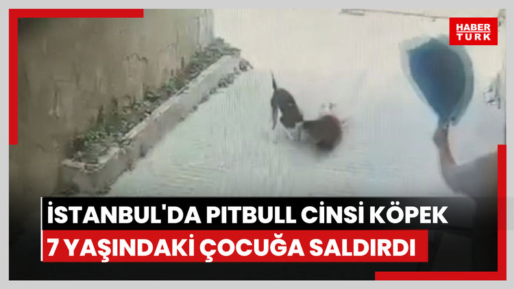 Ataşehir'de serbest bırakılan Pitbull'un 7 yaşındaki çocuğa saldırdığı anlar kamerada