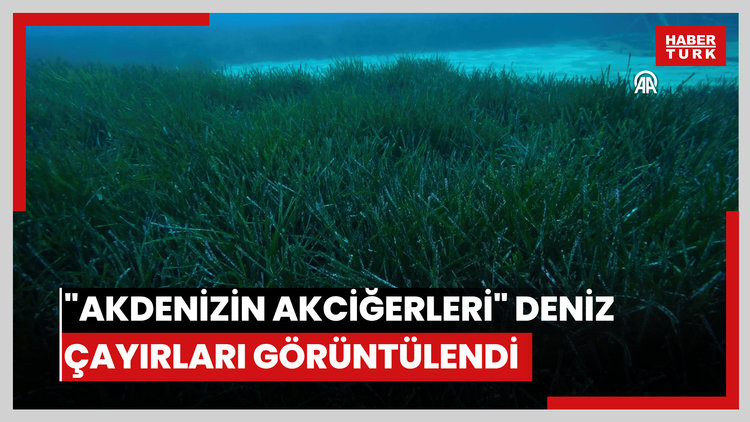 "Akdenizin akciğerleri" deniz çayırları görüntülendi