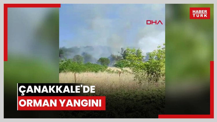 Çanakkale'de orman yangını