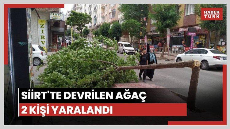 Rüzgar ağacı devirdi: 2 yaralı