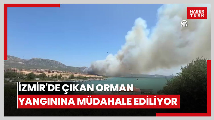İzmir'de çıkan orman yangınına müdahale ediliyor