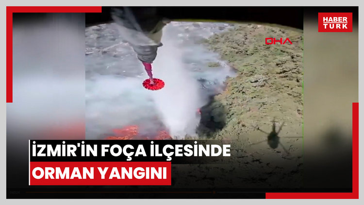 İzmir'in Foça ilçesinde orman yangını