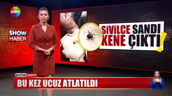 Sivilce sandı kene çıktı!