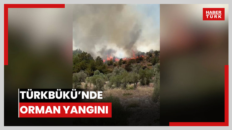 Türkbükü'nde orman yangını