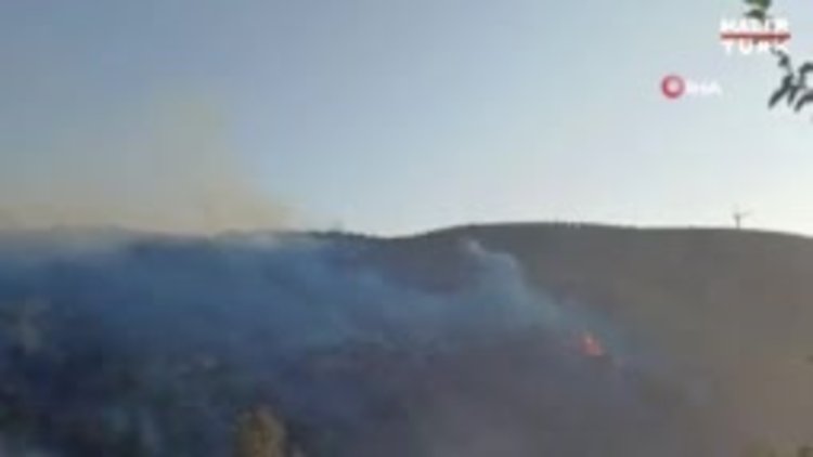 Hatay'da orman yangını